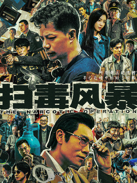 扫毒风暴